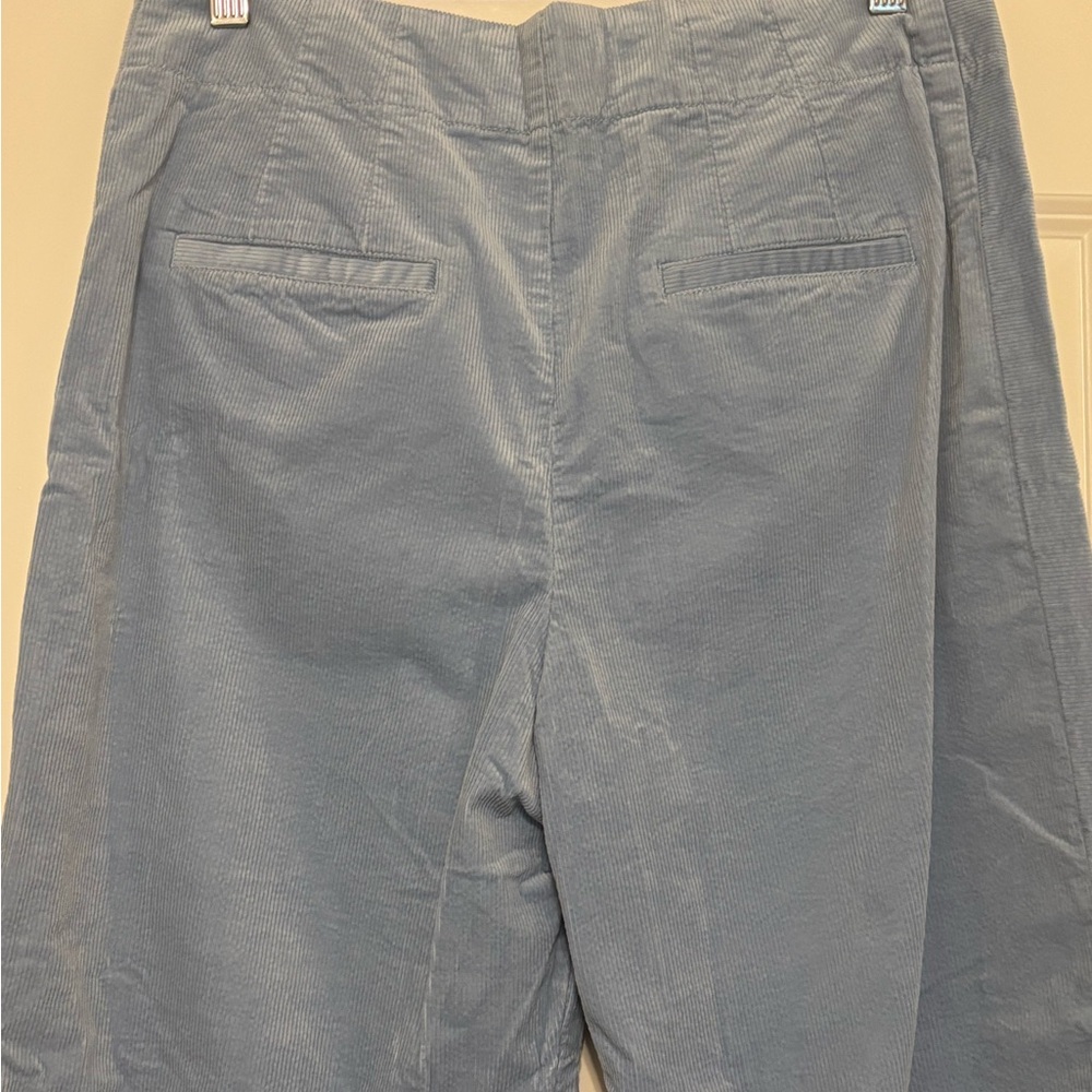 EUC - Baby Blue Corduroy Type Cropped Pants - Picture 4 of 7